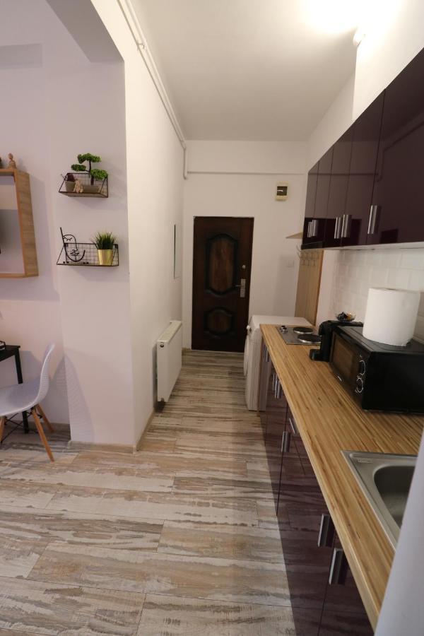 Charming Cozy Studio - Old Town - Free Minibar Apartman Bukarest Kültér fotó